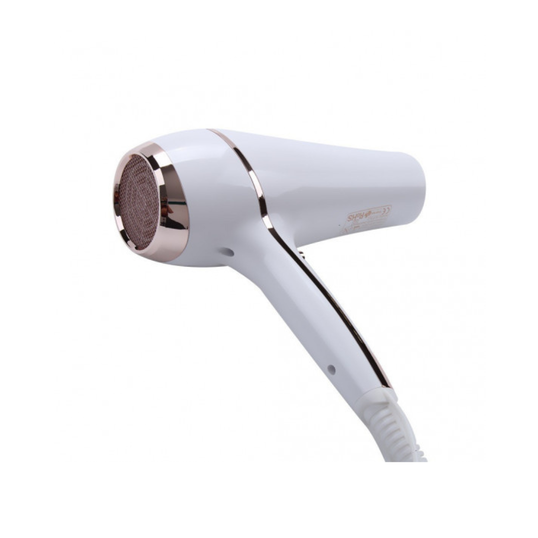 Gemei Hair Dryer - 2400 Watt